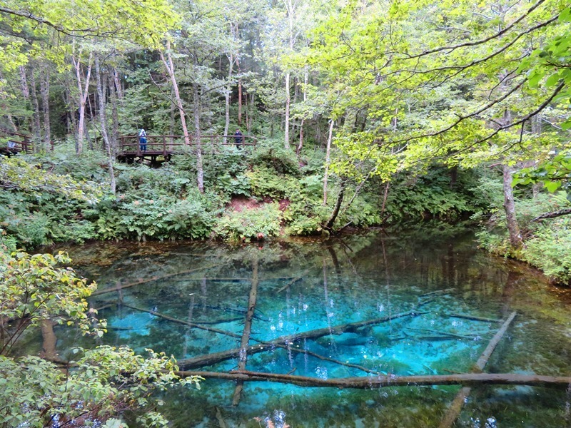 神の子池 北海道斜里郡清里町 おっ と ほっ と 来てみてもっと オホーツク田舎ブログ