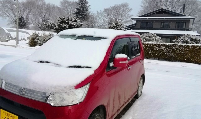 20190316雪da.jpg
