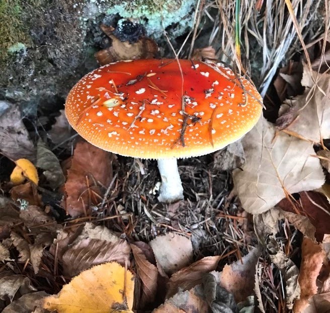 20191024020054.jpg