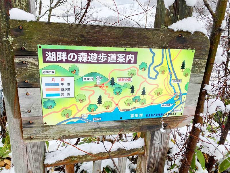 20201110サイケデリック ピエさん富里湖写真 (1).jpg