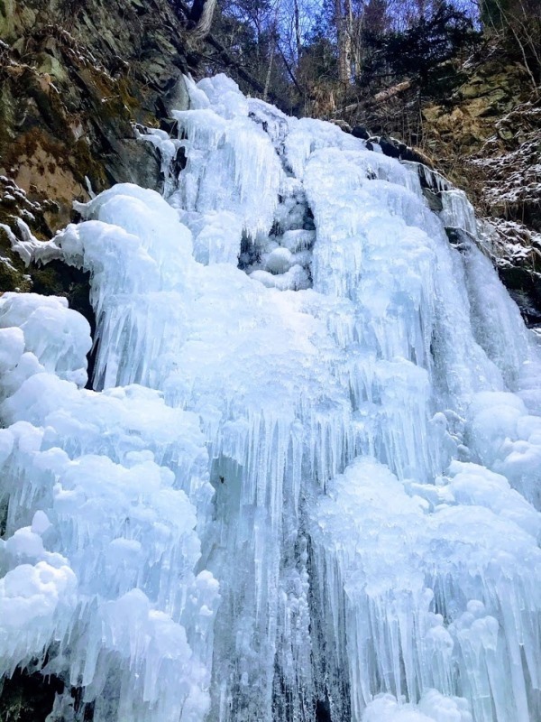 61f728aac028e9f43e0780586f10fdfc69c8b9eabc4ac41833b45f4d1bc02330.0.jpg