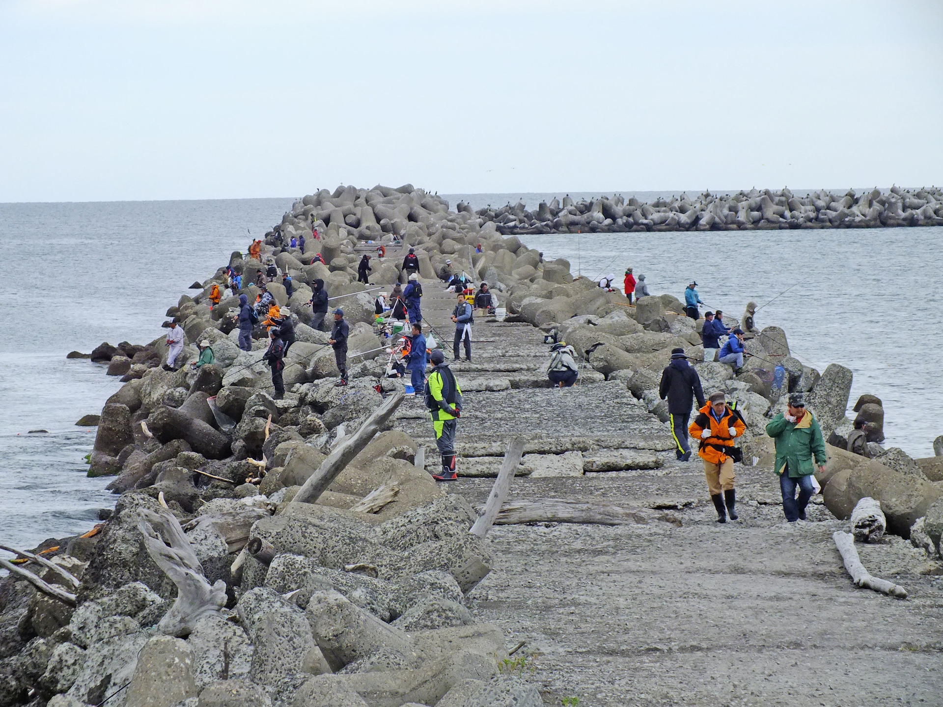 鮭釣り狂騒 おっ と ほっ と 来てみてもっと オホーツク田舎ブログ